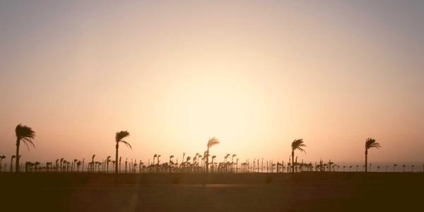 姆巴佩2026赛季数据追踪